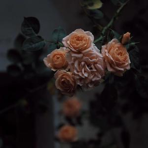 男人边吃奶边挵进去呻吟免费
